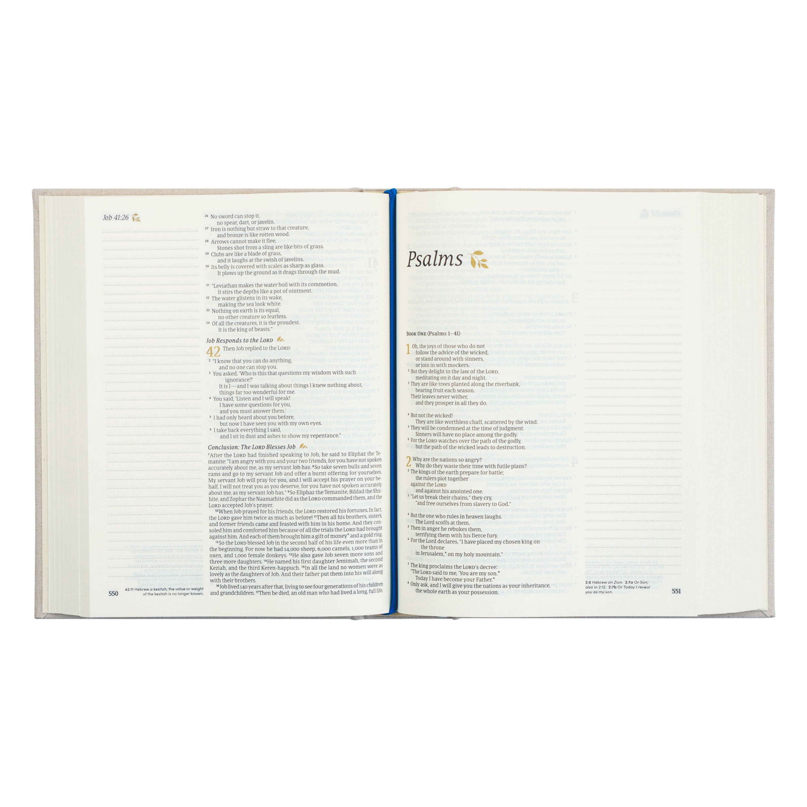 NLT Notetaking Bible - Linen Sky