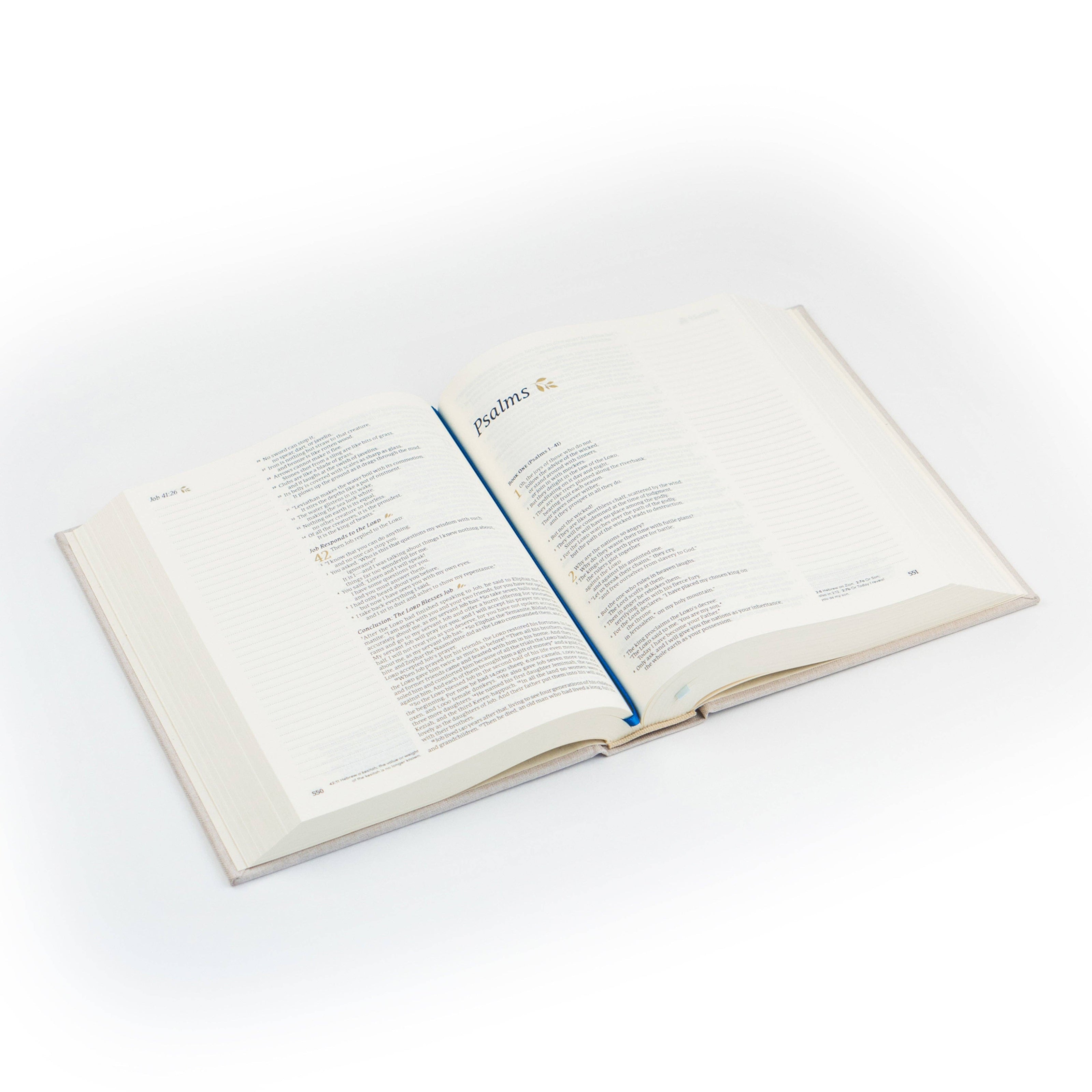 NLT Notetaking Bible - Linen Sky