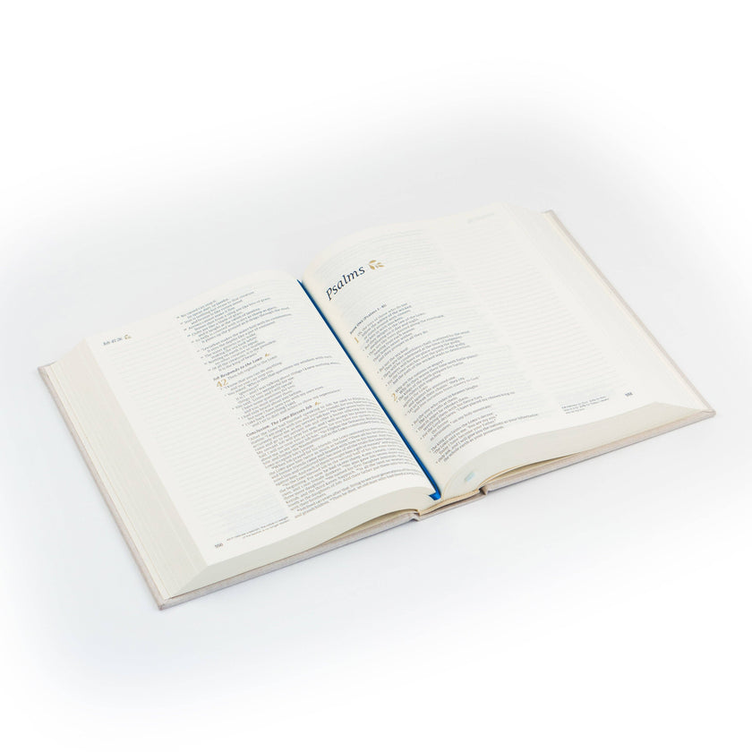 NLT Notetaking Bible - Linen Sky