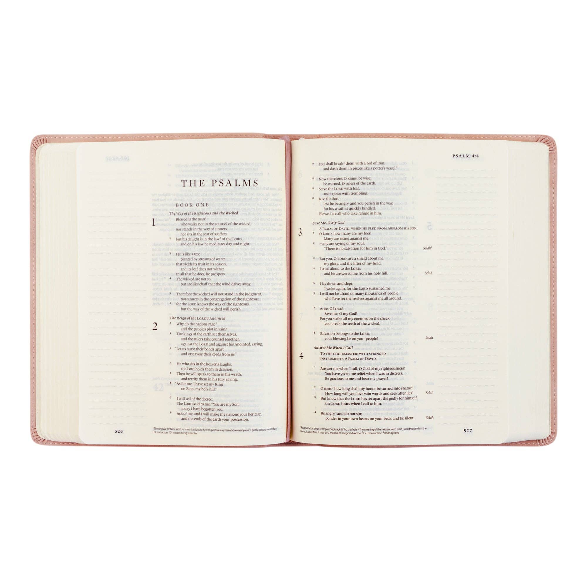 ESV Journaling Bible - Azalea