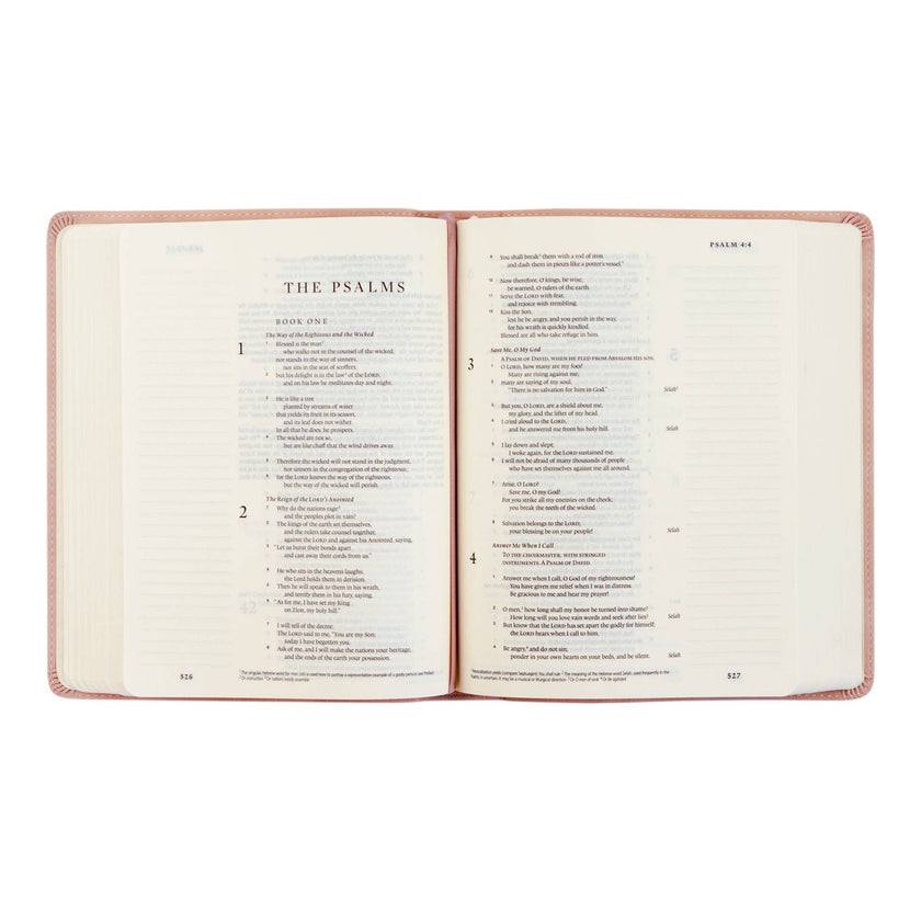 ESV Journaling Bible - Azalea